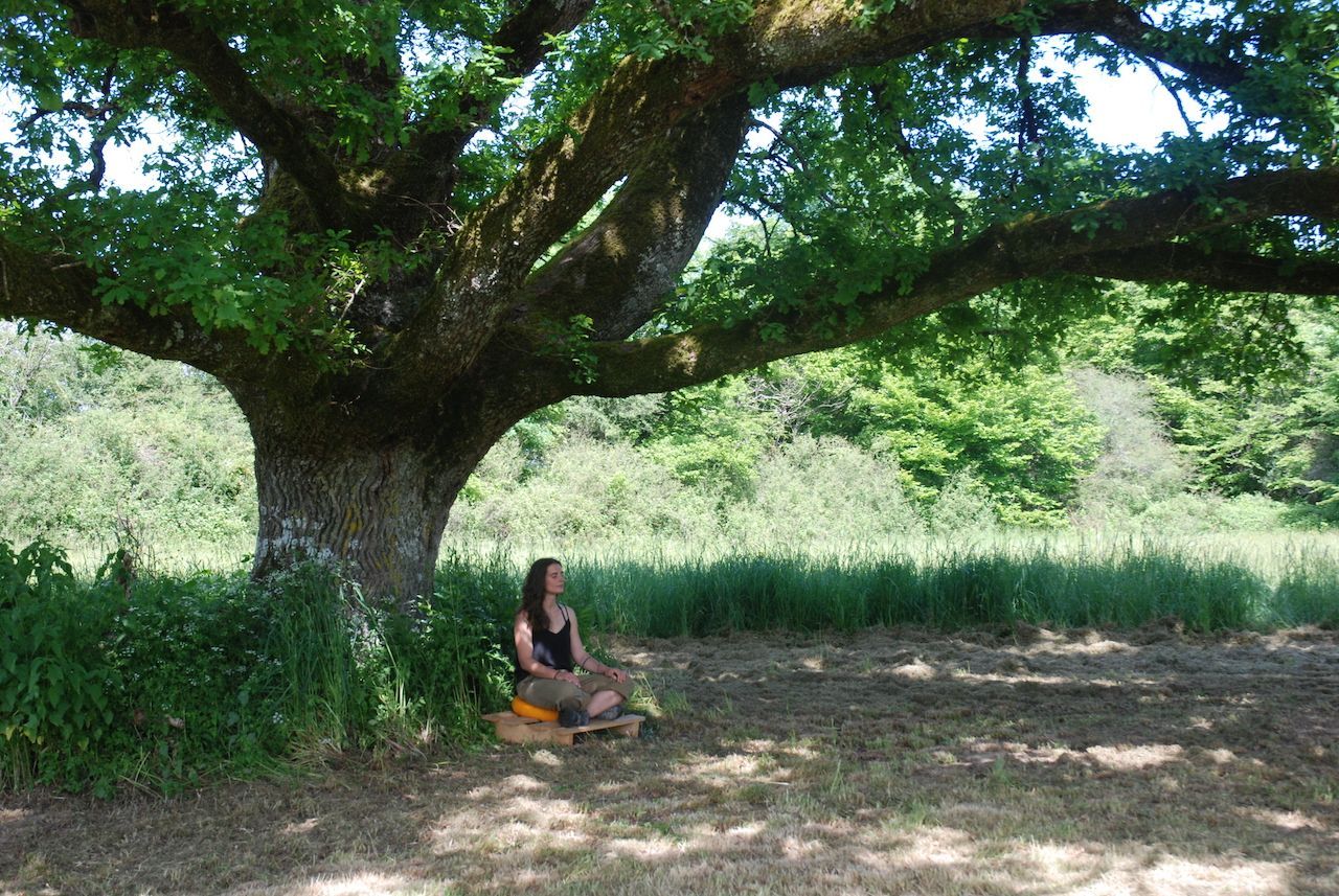 Parenthèse détente en pleine nature                        (Date : 22.23.24 / 07 ou 26.27.28/08 )