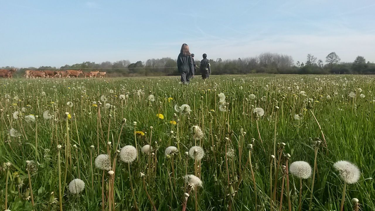 Ferme de la Charité