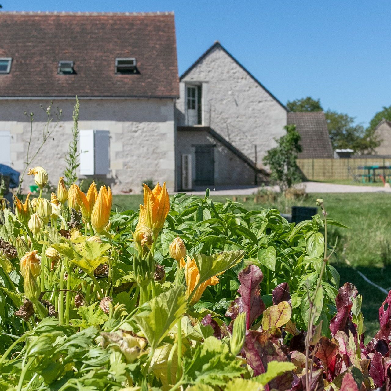 La Ferme dans le Panier