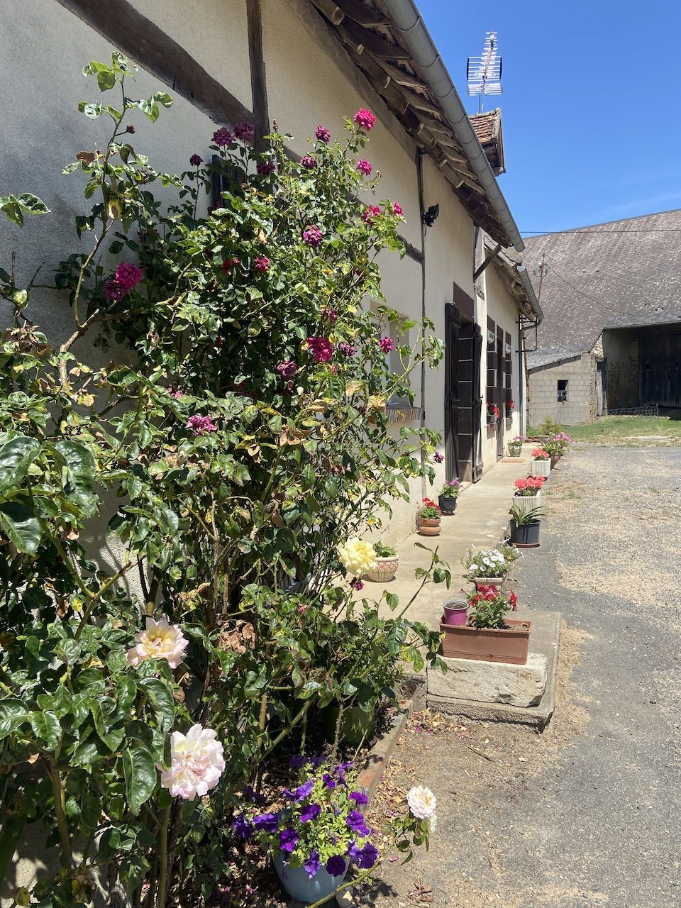 Ferme des Bourdoiseaux